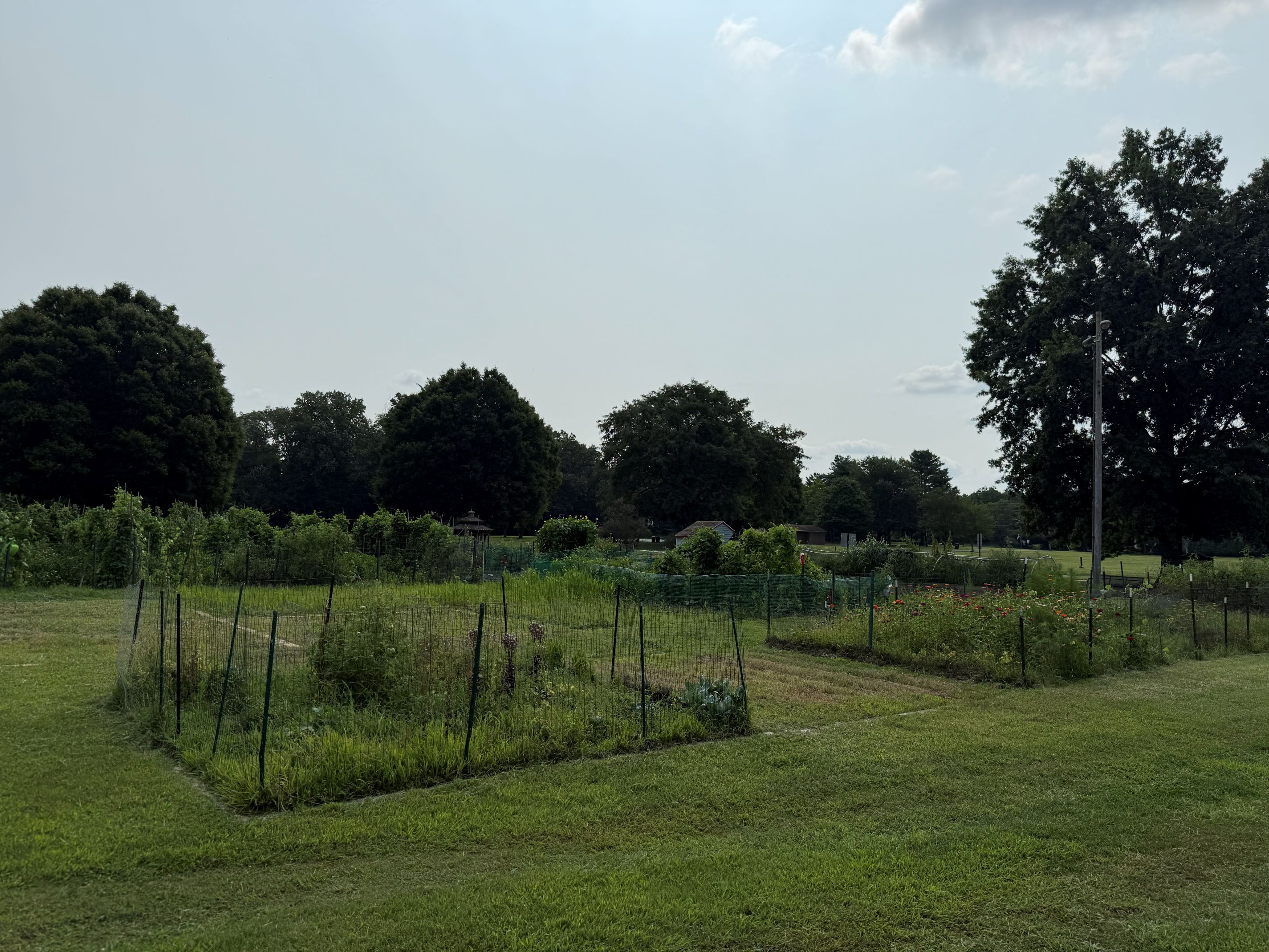 COMMUNITY GARDEN